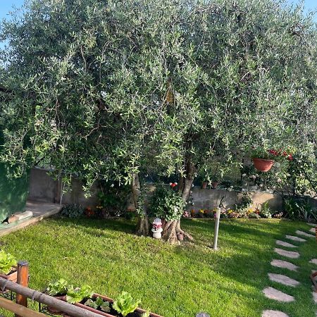Casa Vacanze Collina Del Lago Пастренго Экстерьер фото